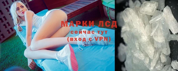 прущие грибы Михайлов