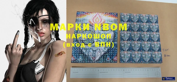 прущие грибы Михайлов