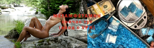 прущие грибы Михайлов
