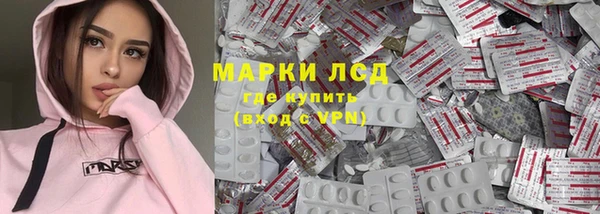 прущие грибы Михайлов