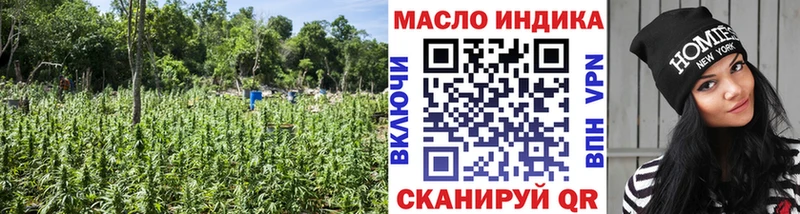 Дистиллят ТГК гашишное масло Шенкурск
