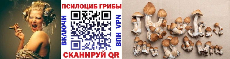Псилоцибиновые грибы MAGIC MUSHROOMS  Шенкурск 